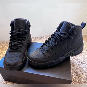 Excellent condition Air Jordan 12 Retro Winterized Shoes
